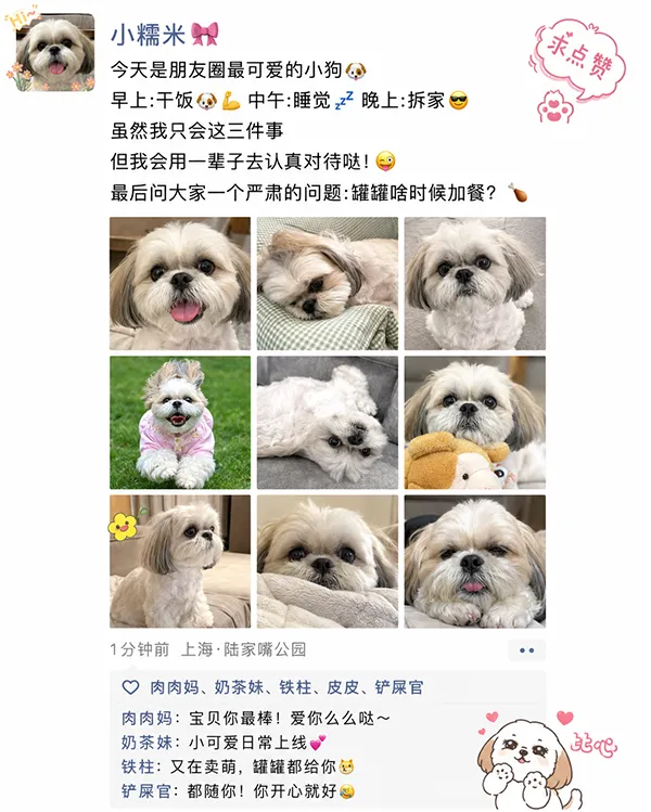 宠物朋友圈日记效果图